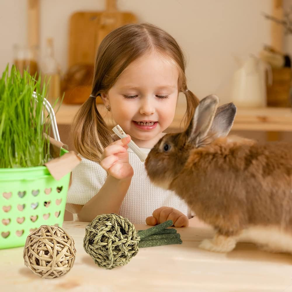 Rabbit Toys Bunny/Guinea Pig Toys Natural Timothy Hay Hamster for Teeth Handmade Chews and Treats Apple Wood Sticks Chinchilla Rat