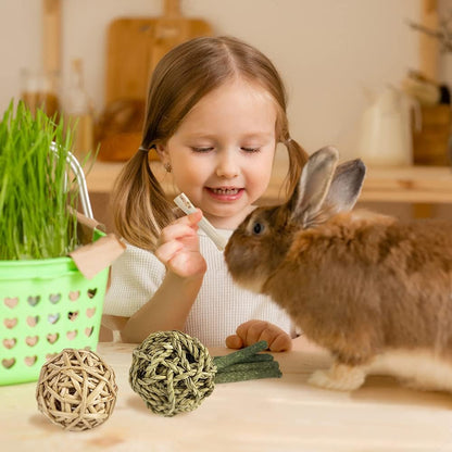 Rabbit Toys Bunny/Guinea Pig Toys Natural Timothy Hay Hamster for Teeth Handmade Chews and Treats Apple Wood Sticks Chinchilla Rat